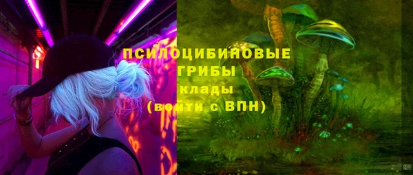 соль курить ск Алзамай