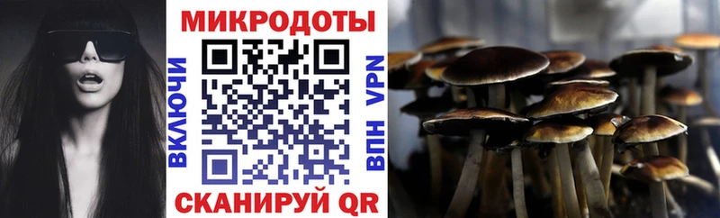 Галлюциногенные грибы Cubensis  купить закладку  Алупка 